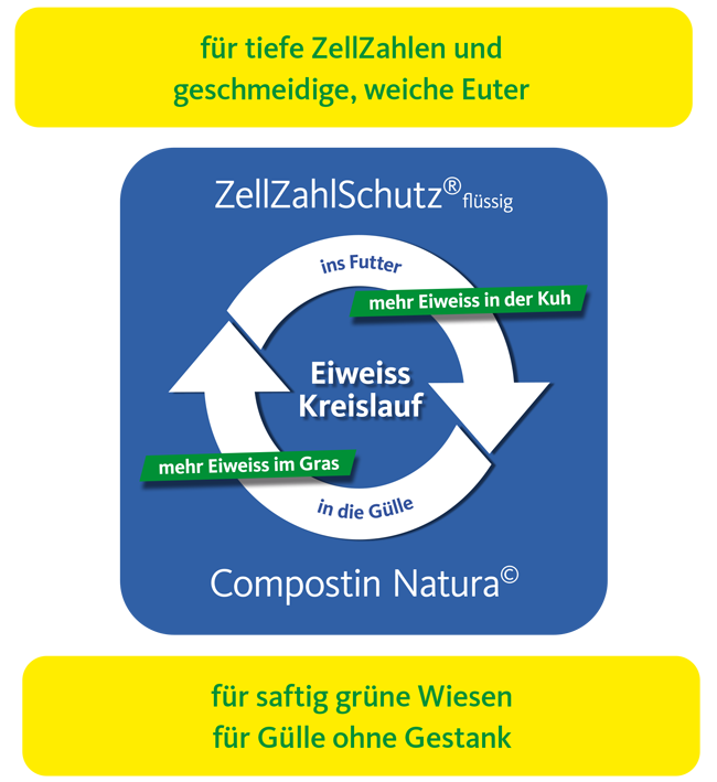 Eiweisskreislauf_klein.png